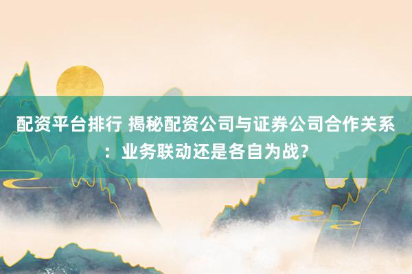 配资平台排行 揭秘配资公司与证券公司合作关系：业务联动还是各自为战？