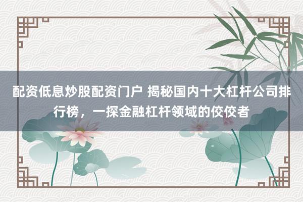 配资低息炒股配资门户 揭秘国内十大杠杆公司排行榜，一探金融杠杆领域的佼佼者