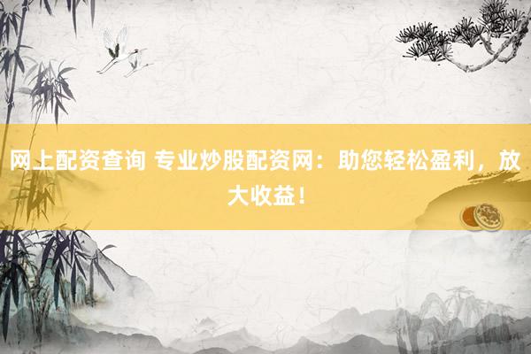 网上配资查询 专业炒股配资网：助您轻松盈利，放大收益！