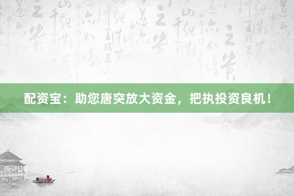 配资宝：助您唐突放大资金，把执投资良机！