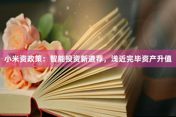 小米资政策：智能投资新遴荐，浅近完毕资产升值