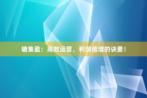 辘集盈：高效运营，利润倍增的诀要！