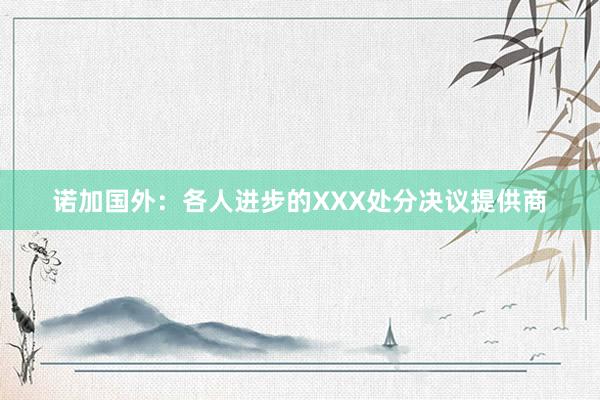 诺加国外：各人进步的XXX处分决议提供商