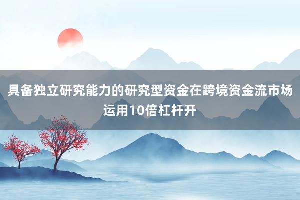 具备独立研究能力的研究型资金在跨境资金流市场运用10倍杠杆开