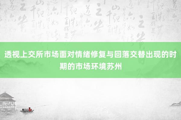 透视上交所市场面对情绪修复与回落交替出现的时期的市场环境苏州