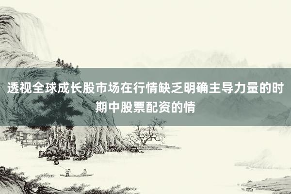 透视全球成长股市场在行情缺乏明确主导力量的时期中股票配资的情
