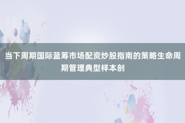 当下周期国际蓝筹市场配资炒股指南的策略生命周期管理典型样本剖