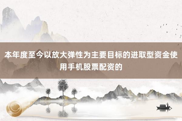本年度至今以放大弹性为主要目标的进取型资金使用手机股票配资的