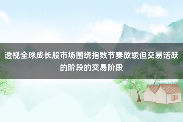 透视全球成长股市场围绕指数节奏放缓但交易活跃的阶段的交易阶段