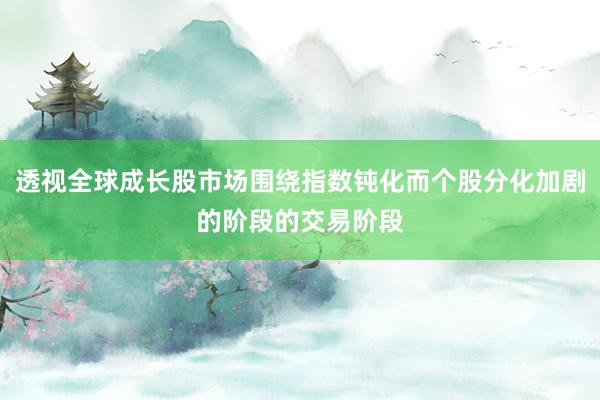透视全球成长股市场围绕指数钝化而个股分化加剧的阶段的交易阶段