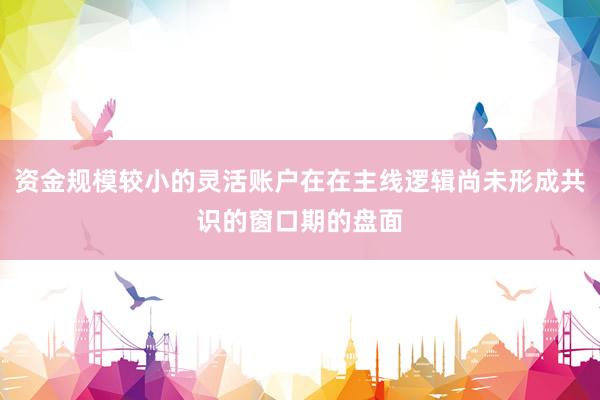 资金规模较小的灵活账户在在主线逻辑尚未形成共识的窗口期的盘面