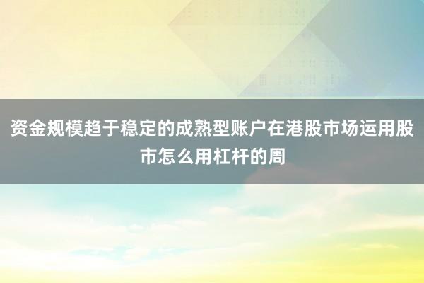 资金规模趋于稳定的成熟型账户在港股市场运用股市怎么用杠杆的周
