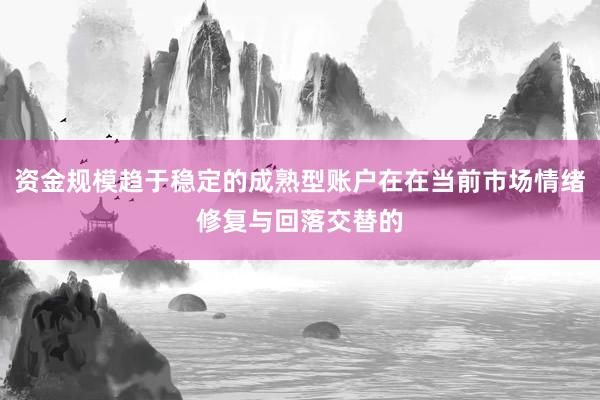 资金规模趋于稳定的成熟型账户在在当前市场情绪修复与回落交替的