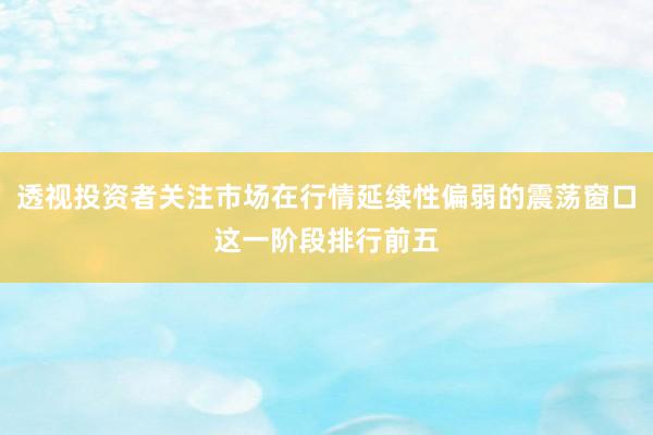 透视投资者关注市场在行情延续性偏弱的震荡窗口这一阶段排行前五