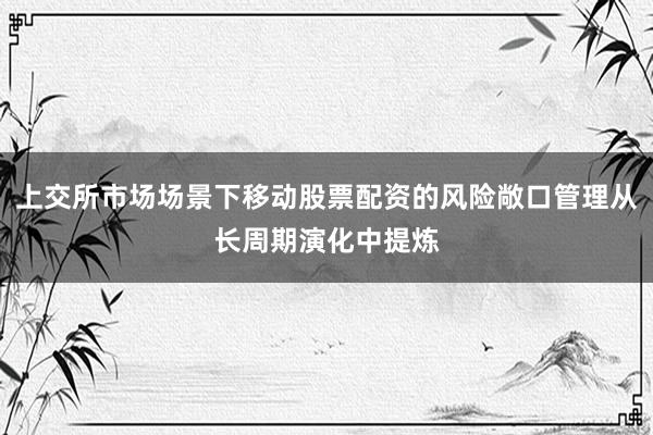 上交所市场场景下移动股票配资的风险敞口管理从长周期演化中提炼